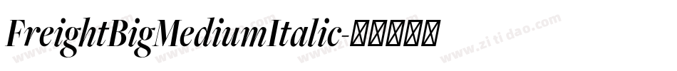 FreightBigMediumItalic字体转换