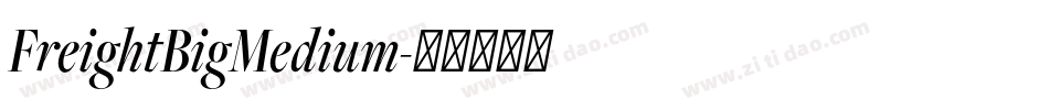 FreightBigMedium字体转换
