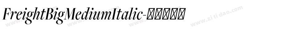 FreightBigMediumItalic字体转换