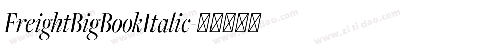 FreightBigBookItalic字体转换