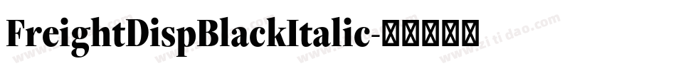 FreightDispBlackItalic字体转换