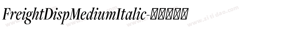 FreightDispMediumItalic字体转换