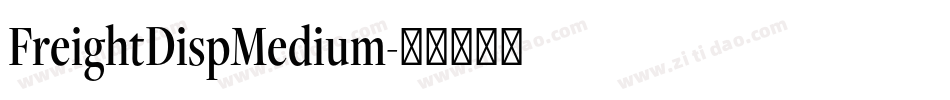 FreightDispMedium字体转换