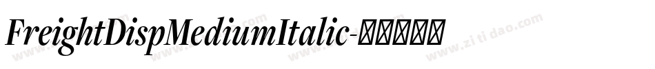 FreightDispMediumItalic字体转换