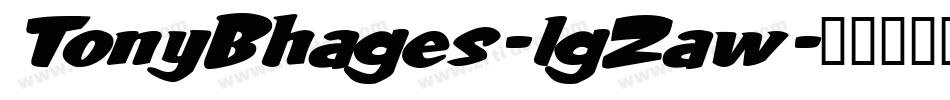 TonyBhages-lgZaw字体转换