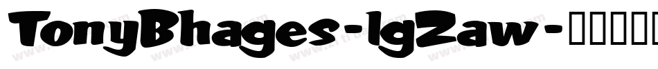 TonyBhages-lgZaw字体转换