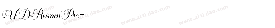 UDReiminPro字体转换