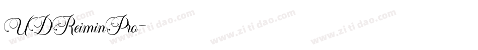 UDReiminPro字体转换