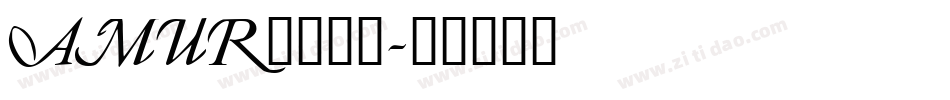 AMUR____字体转换
