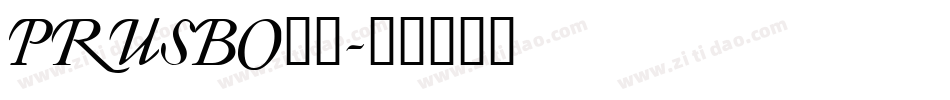 PRUSBO__字体转换