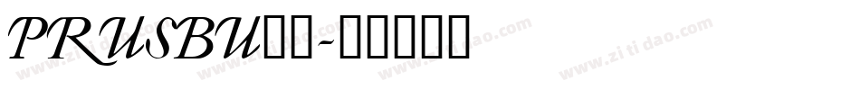 PRUSBU__字体转换