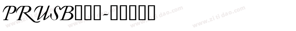 PRUSB___字体转换