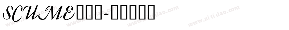 SCUME___字体转换