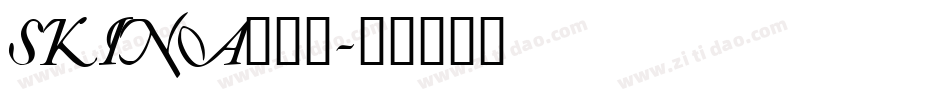 SKINA___字体转换