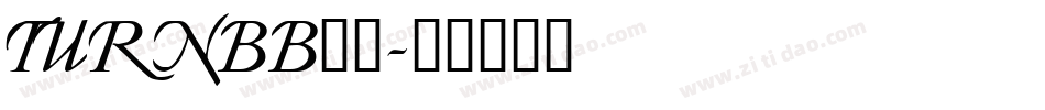 TURNBB__字体转换