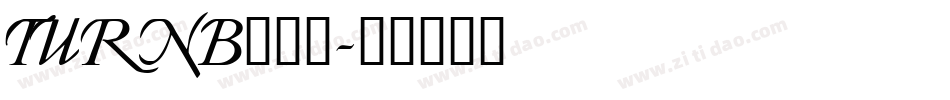 TURNB___字体转换