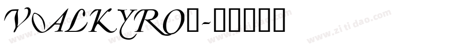 VALKYRO_字体转换