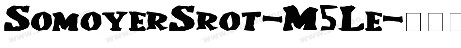 SomoyerSrot-M5Le字体转换
