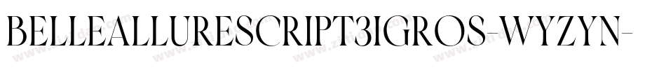 BelleAllureScript3IGros-WyzYn字体转换