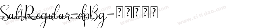 SaltRegular-dpBg字体转换