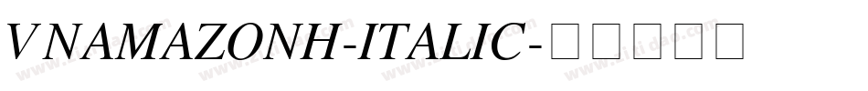 VNAmazonH-Italic字体转换