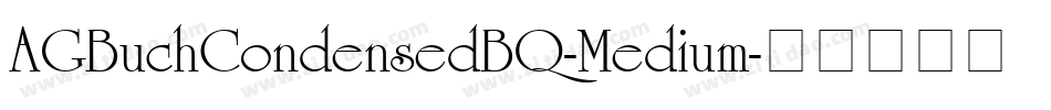 AGBuchCondensedBQ-Medium字体转换