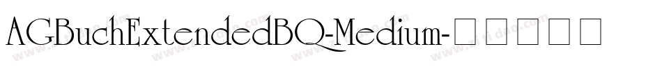AGBuchExtendedBQ-Medium字体转换