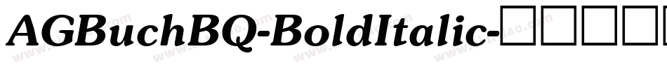 AGBuchBQ-BoldItalic字体转换