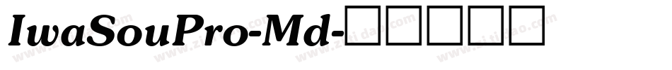 IwaSouPro-Md字体转换