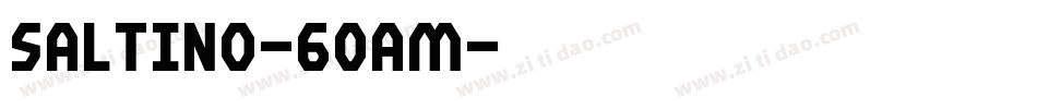 Saltino-60aM字体转换