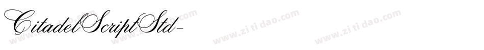 CitadelScriptStd字体转换