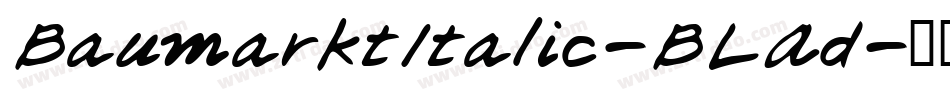 BaumarktItalic-BLAd字体转换
