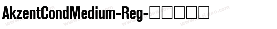 AkzentCondMedium-Reg字体转换