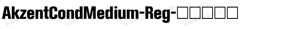 AkzentCondMedium-Reg字体转换