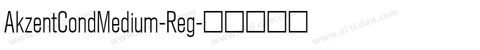 AkzentCondMedium-Reg字体转换