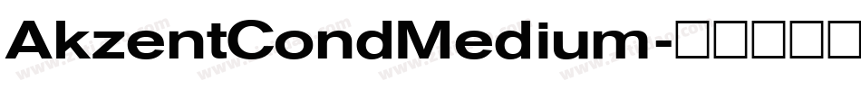 AkzentCondMedium字体转换