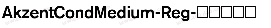 AkzentCondMedium-Reg字体转换
