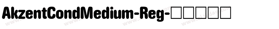 AkzentCondMedium-Reg字体转换