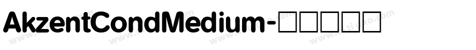 AkzentCondMedium字体转换