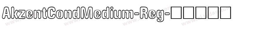 AkzentCondMedium-Reg字体转换