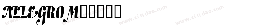 ALLEGRO字体转换