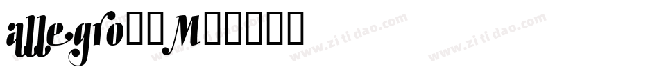 allegro字库字体转换