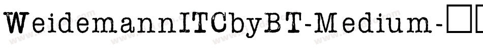 WeidemannITCbyBT-Medium字体转换