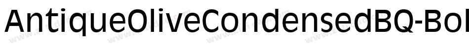 AntiqueOliveCondensedBQ-Bold字体转换