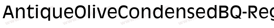 AntiqueOliveCondensedBQ-Regular字体转换