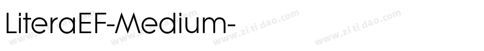 LiteraEF-Medium字体转换