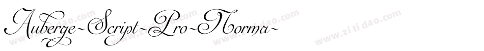 Auberge-Script-Pro-Norma字体转换