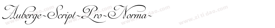 Auberge-Script-Pro-Norma字体转换