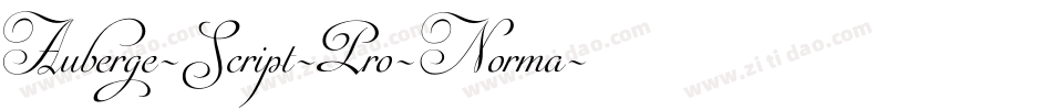 Auberge-Script-Pro-Norma字体转换