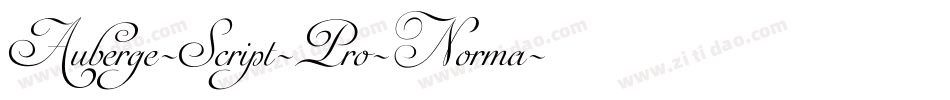 Auberge-Script-Pro-Norma字体转换